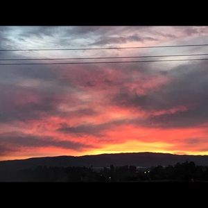 Meet your Posher, Genevieve